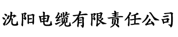 樱桃福利入口电缆厂logo